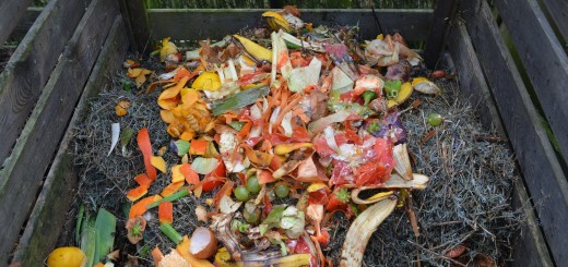 waste for composting
