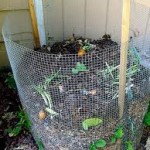 wire compost bin - 2