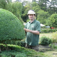 Darren - Asst. Head Gardener at Hever. Trimming Topiary.