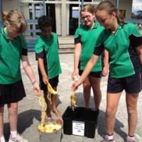 Students collecting waste food