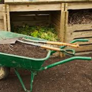 compost in wheelbarrow