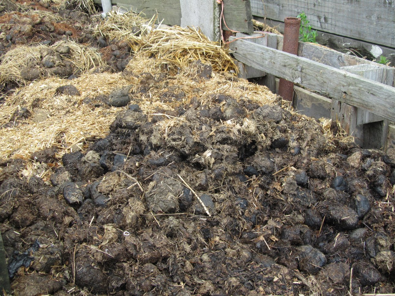 Horse manure composting