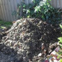 compost heap 2
