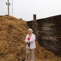 Collecting straw for the compost