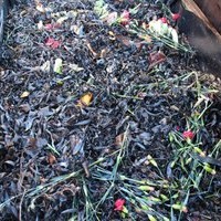 raised bed compost bin